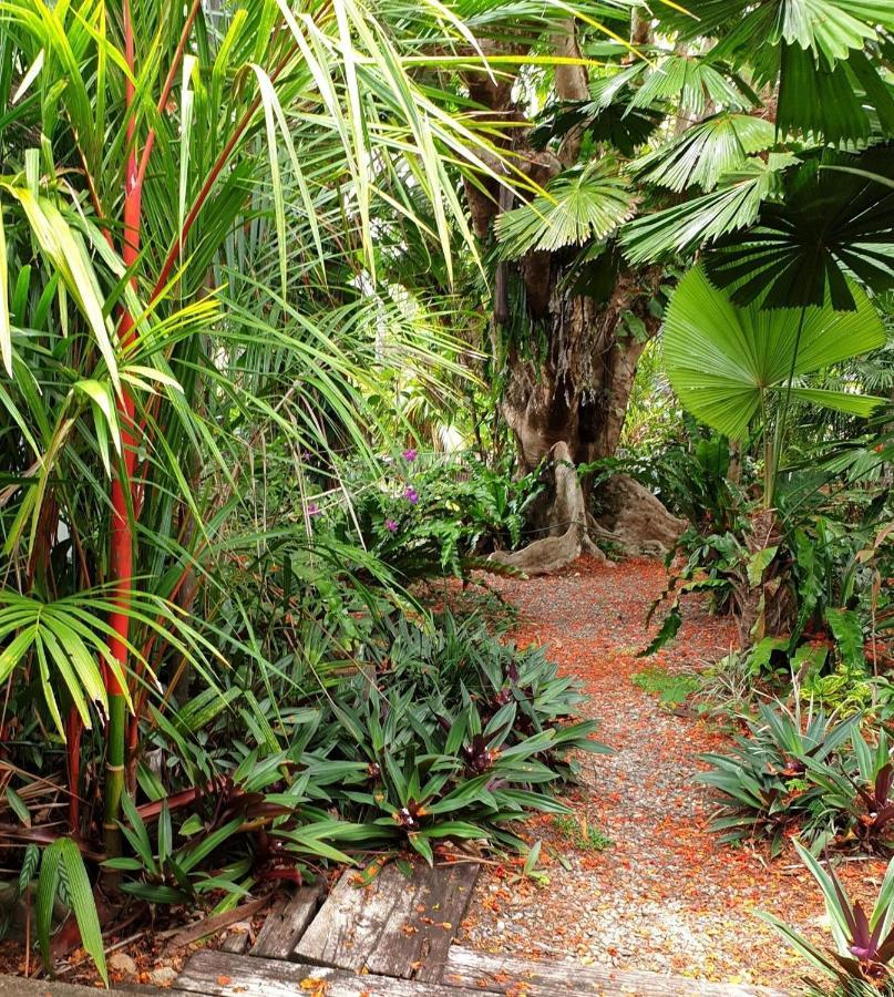 Rainforest Castaways Resort And Spa Mission Beach Exteriér fotografie