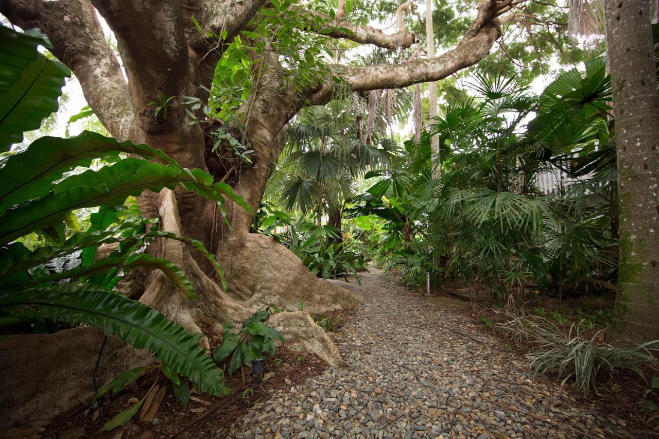 Rainforest Castaways Resort And Spa Mission Beach Exteriér fotografie